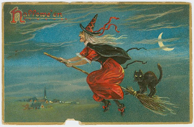 the witch and the cat